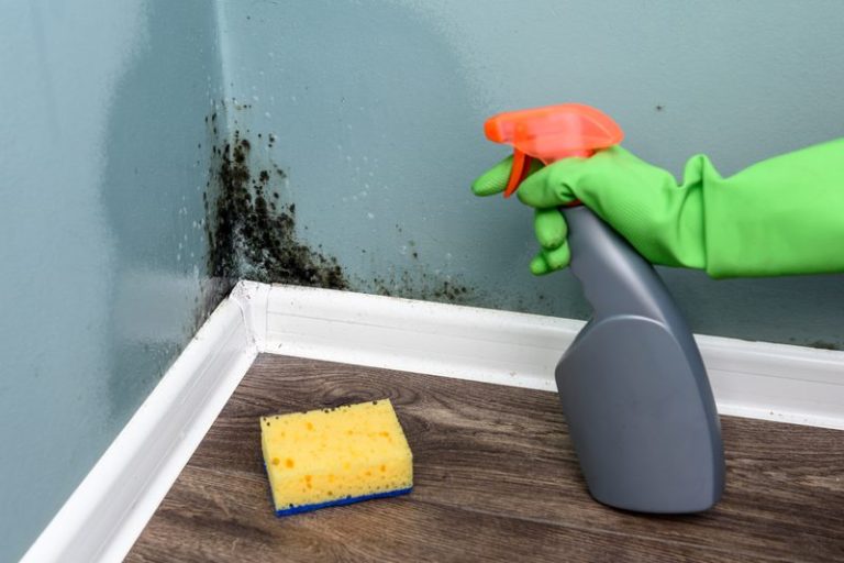 Moisissure sur un mur de chambre, causes et solutions durables